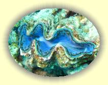 IMG_2007_05_29 15_55_07 * 3072 x 2304 * (1.11MB)